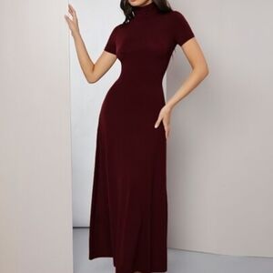 Long Turtleneck Dress